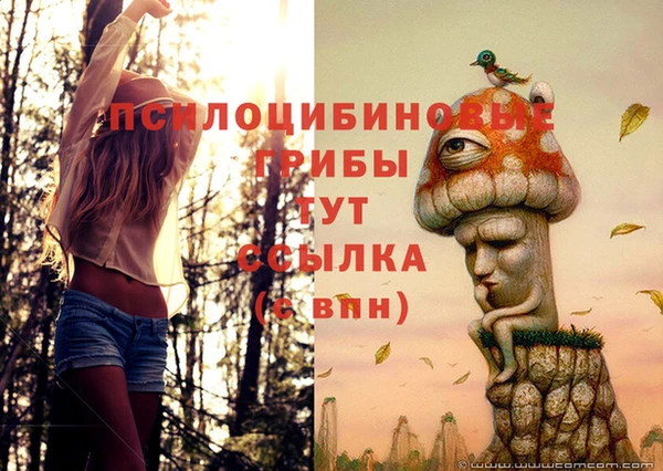 дурь Волоколамск