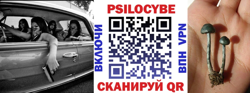Купить закладки  Обнинск  Галлюциногенные грибы мухоморы 