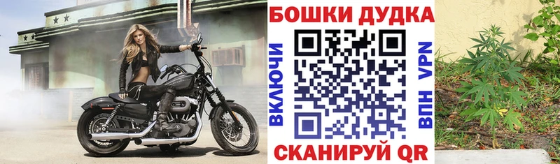 Купить  Обнинск  Шишки марихуана Bruce Banner 